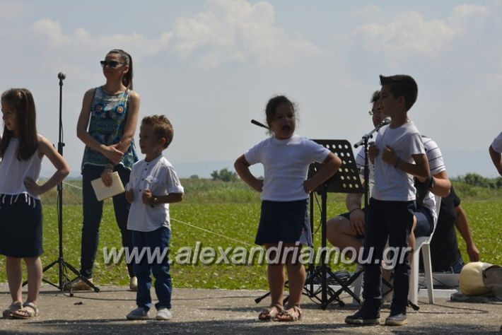 alexandriamou.gr_trikala28.5.2018402